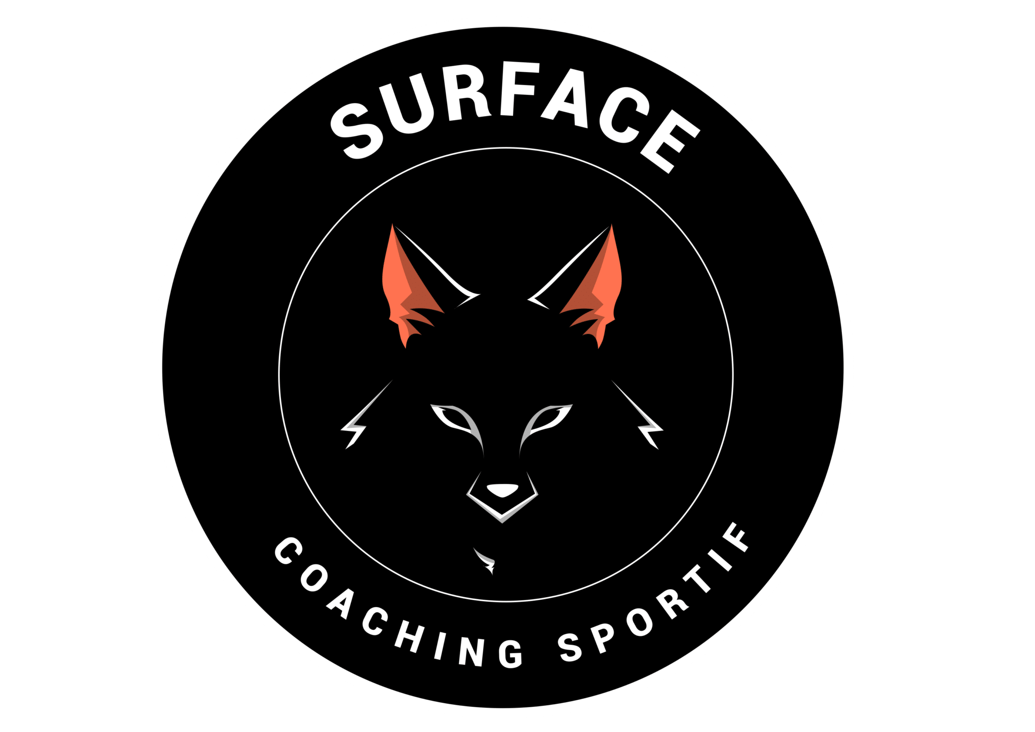 Le groupe Surface Coach